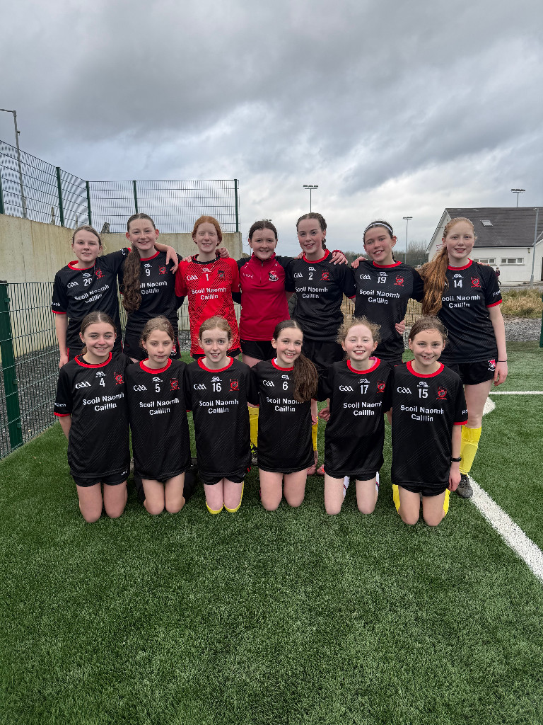 FAI 5 a side Soccer County Finals: