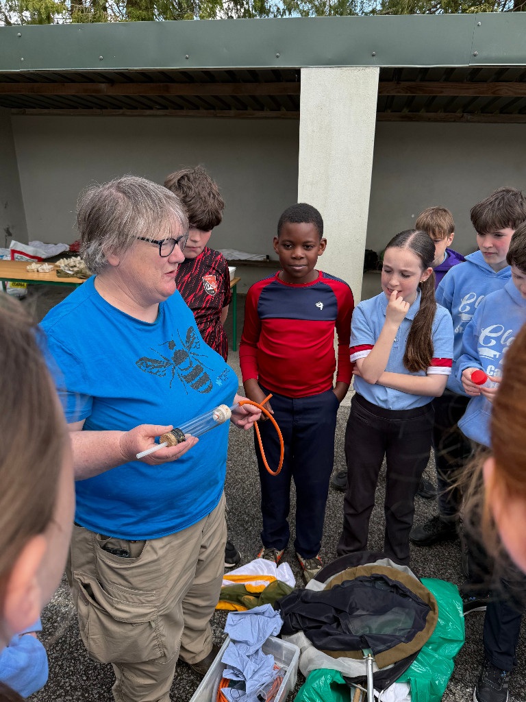 Heritage in Schools: